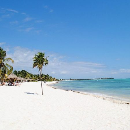 Pavoreal Beach Resort 图卢姆 外观 照片
