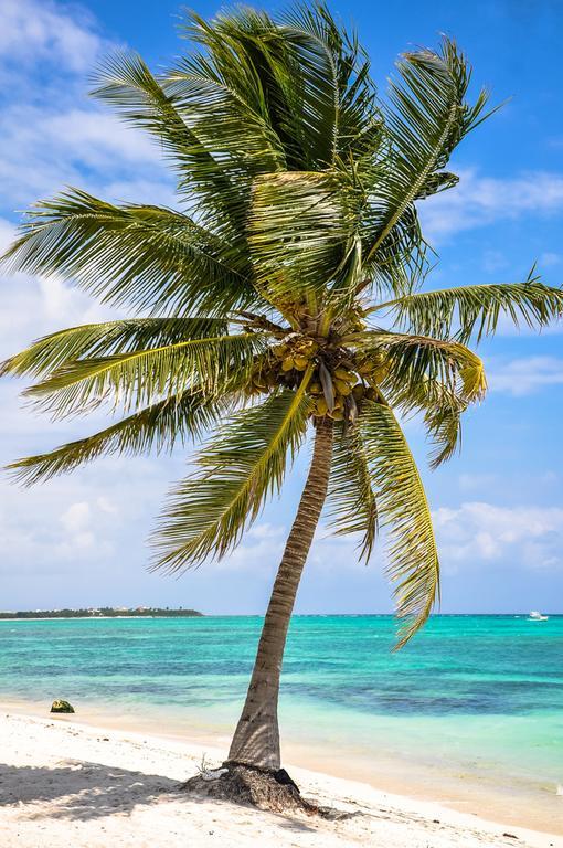Pavoreal Beach Resort 图卢姆 外观 照片