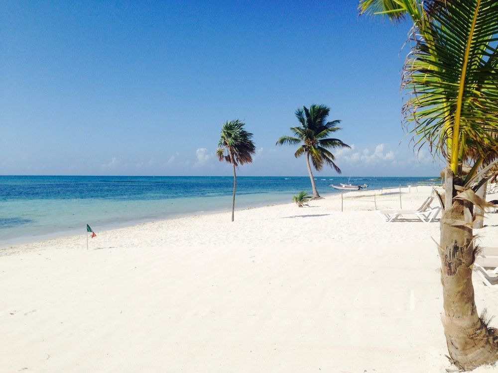 Pavoreal Beach Resort 图卢姆 外观 照片
