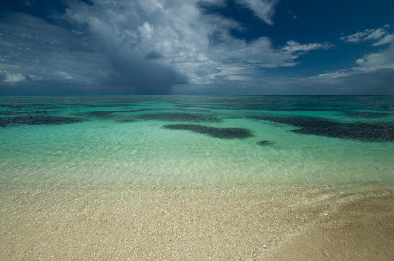 Pavoreal Beach Resort 图卢姆 外观 照片